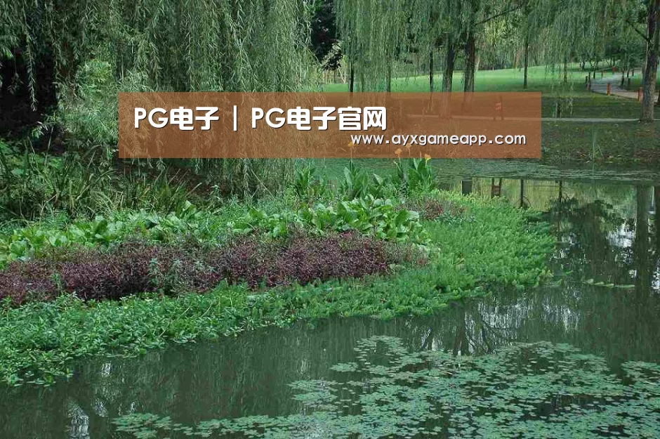 案例展示一(图1)