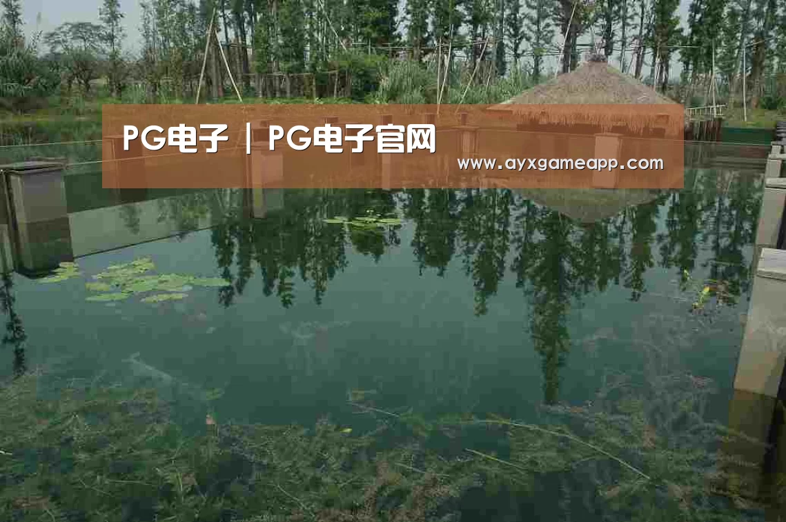 案例展示二(图1)