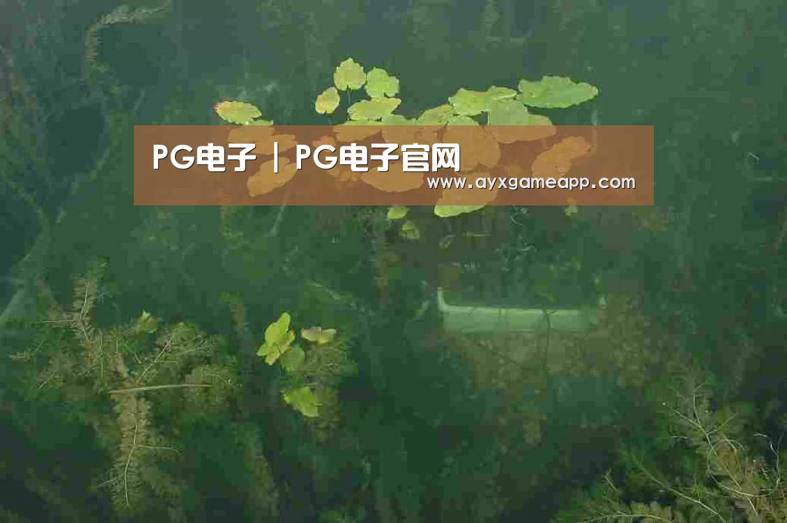 案例展示三(图1)