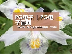 产品名称二