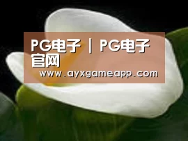 产品名称七