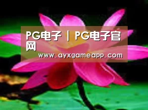 产品名称五