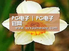 产品名称四