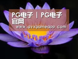 产品名称六