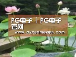 产品名称一