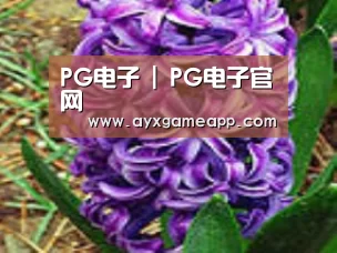 产品名称八