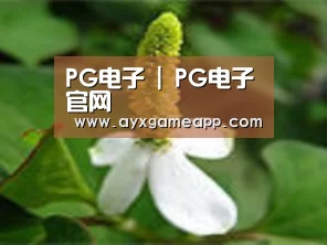 产品名称三