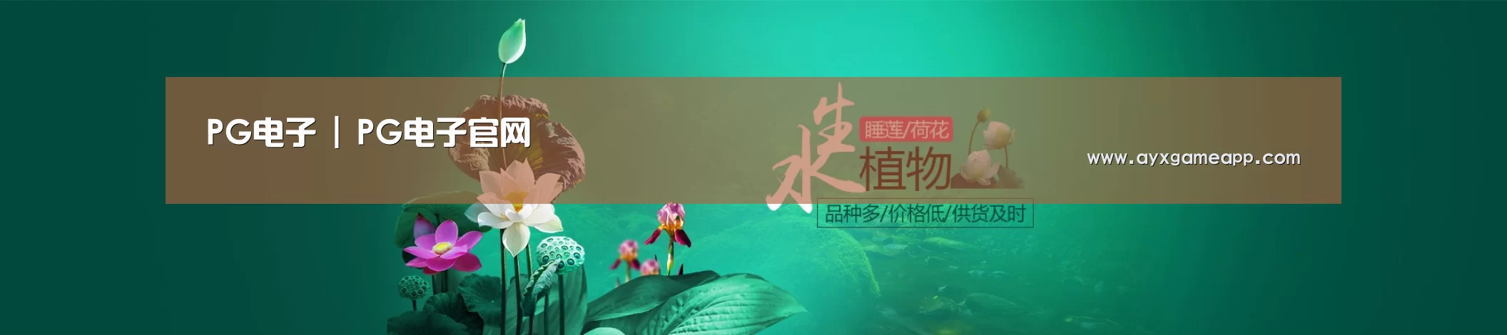 鲜花水草花卉网站模板