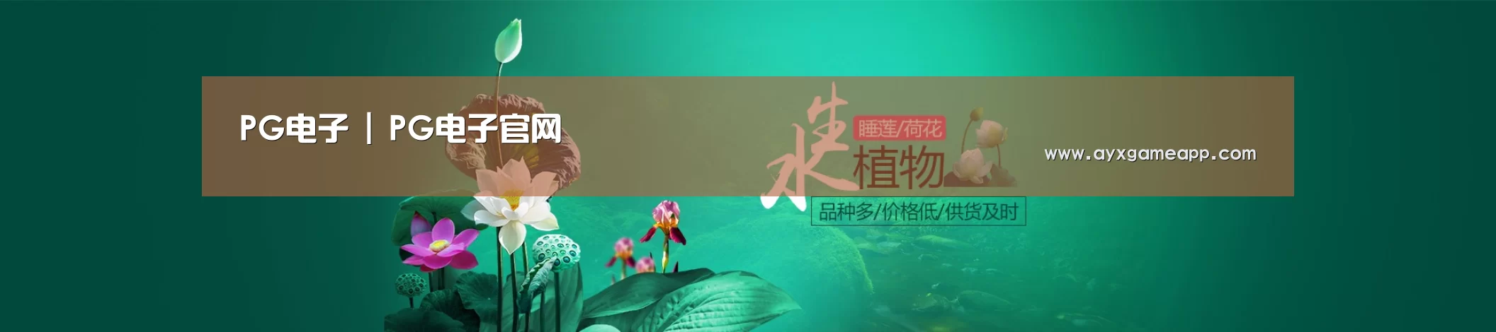 鲜花水草花卉网站模板