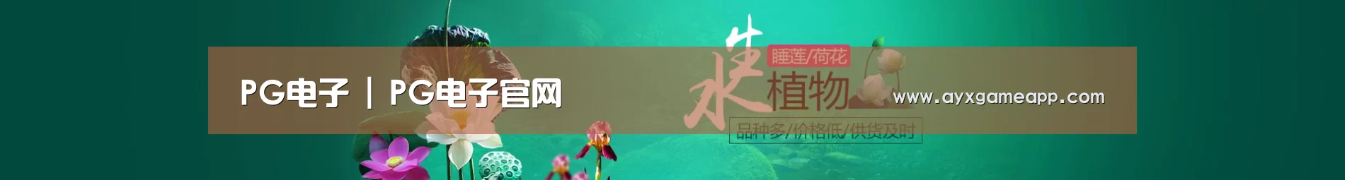 鲜花水草花卉网站模板