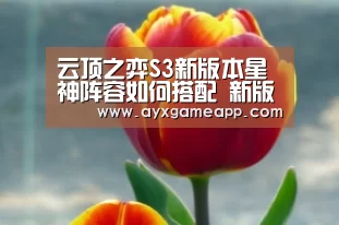 pg电子游戏官网
