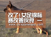 pg电子