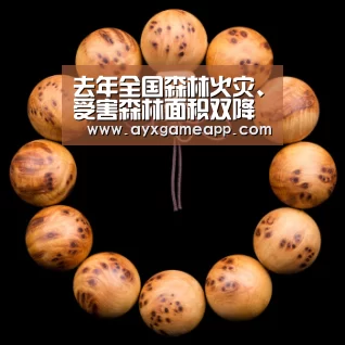 pg电子官网