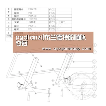 pgdianzi|布兰德特盼随队夺冠(图1)