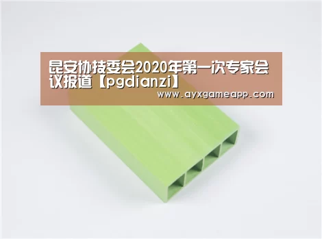 pg电子游戏官网