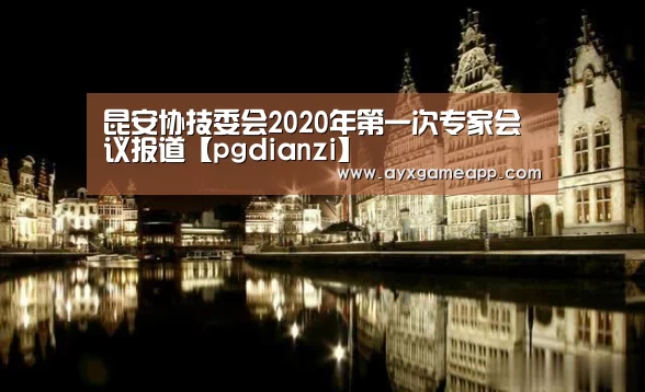 昆安协技委会2020年第一次专家会议报道【pgdianzi】(图2)