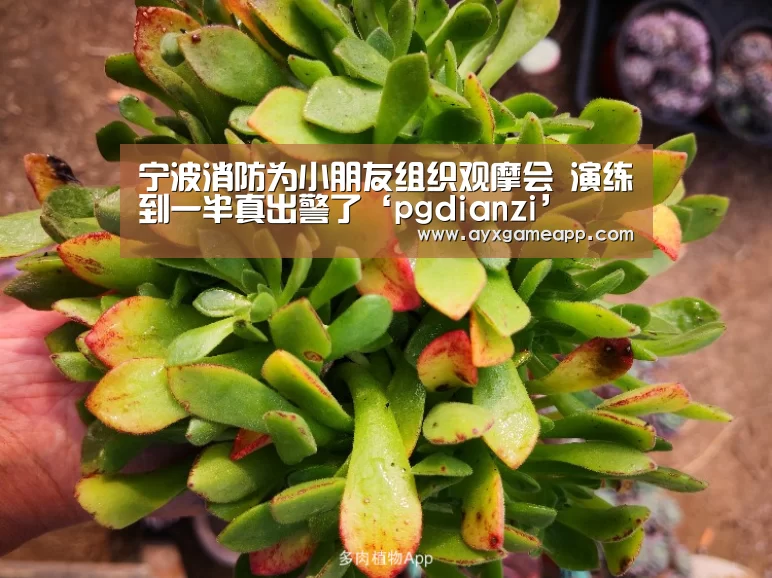 宁波消防为小朋友组织观摩会 演练到一半真出警了‘pgdianzi’