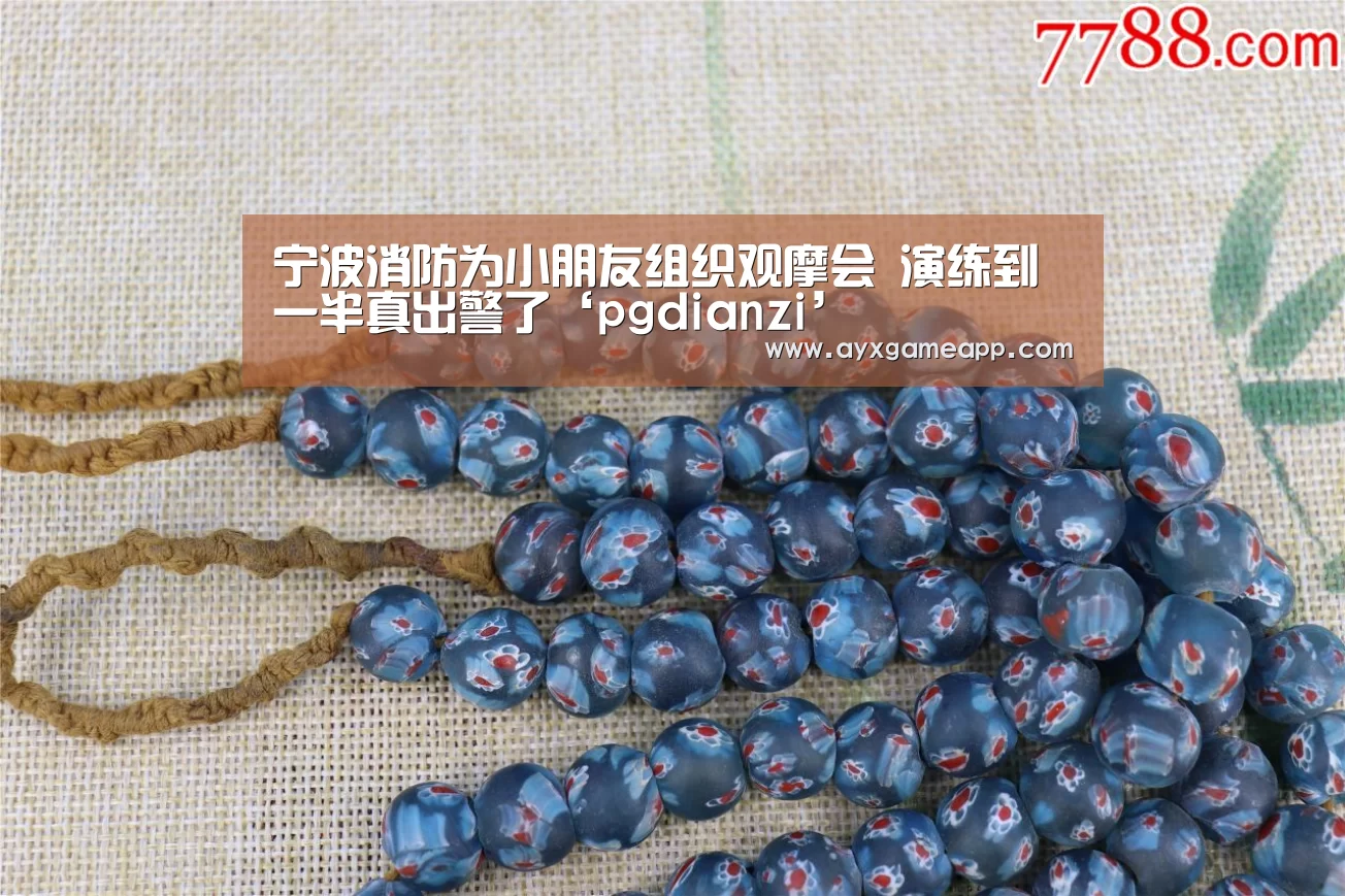 宁波消防为小朋友组织观摩会 演练到一半真出警了‘pgdianzi’(图4) 宁波消防为小朋友组织观摩会 演练到一半真出警了‘pgdianzi’(图4)