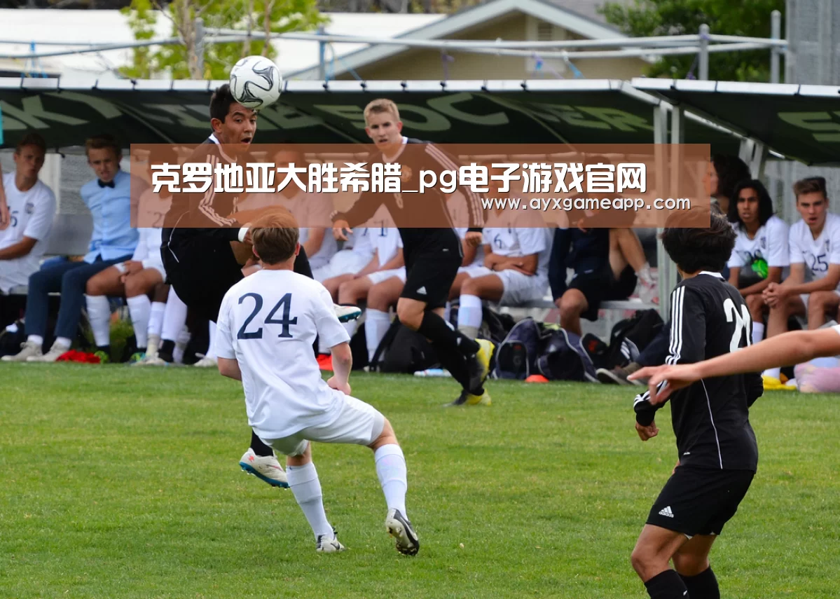 pg电子游戏官网