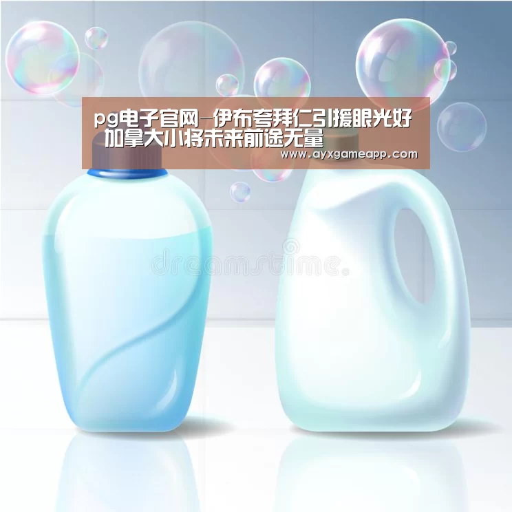 pg电子官网-伊布夸拜仁引援眼光好 加拿大小将未来前途无量(图1) pg电子官网