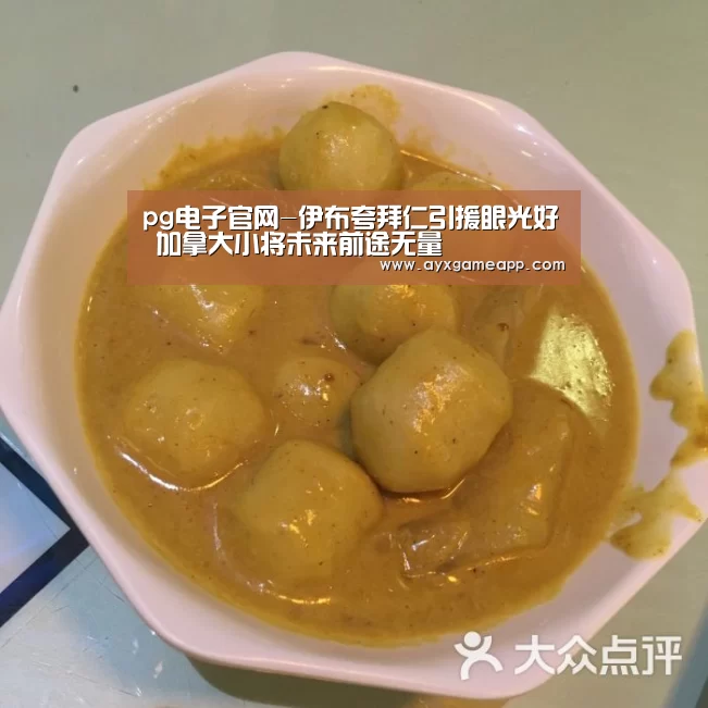 pg电子官网-伊布夸拜仁引援眼光好 加拿大小将未来前途无量(图2) pg电子