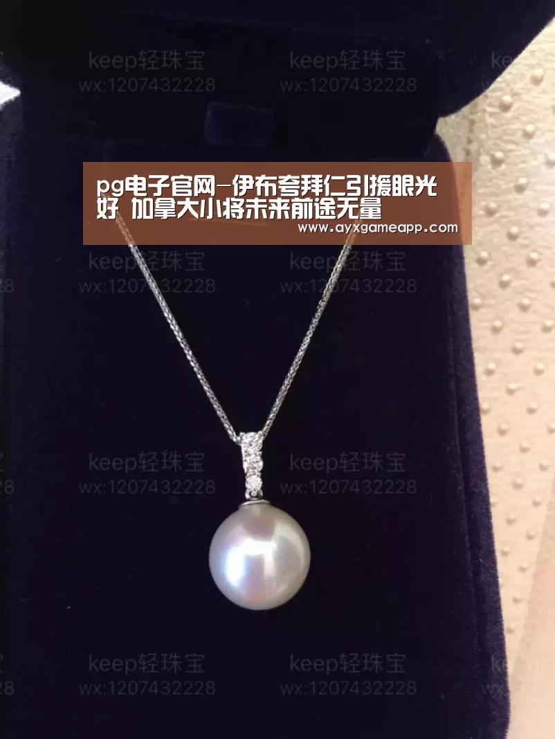 pg电子官网-伊布夸拜仁引援眼光好 加拿大小将未来前途无量(图3) pg电子游戏官网