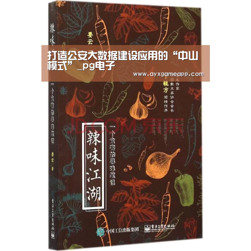 打造公安大数据建设应用的“中山模式”_pg电子(图1) 打造公安大数据建设应用的“中山模式”_pg电子(图1)