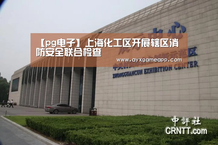 【pg电子】上海化工区开展辖区消防安全联合检查(图3) pg电子官网