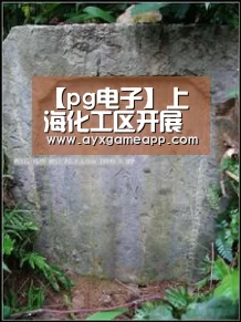 【pg电子】上海化工区开展辖区消防安全联合检查(图2) pg电子游戏官网