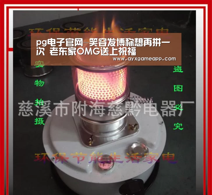 pg电子游戏官网