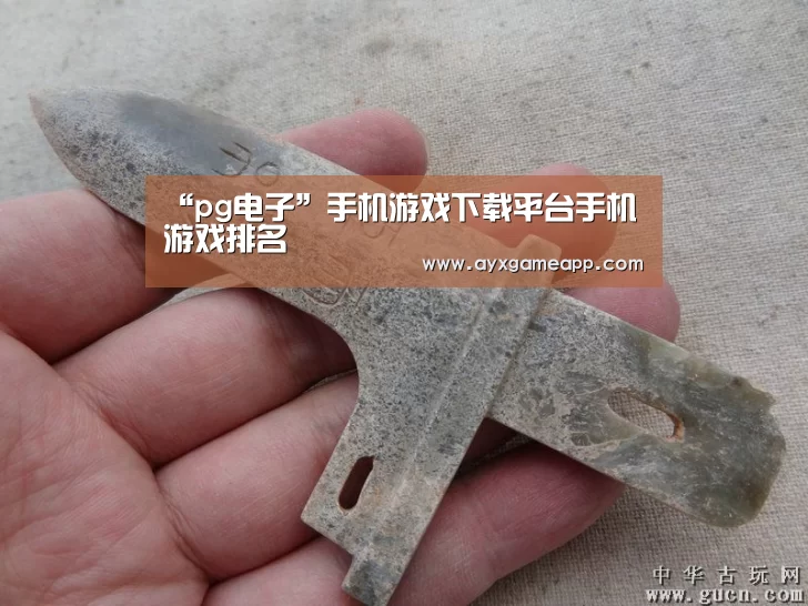 “pg电子”手机游戏下载平台手机游戏排名(图2) pg电子